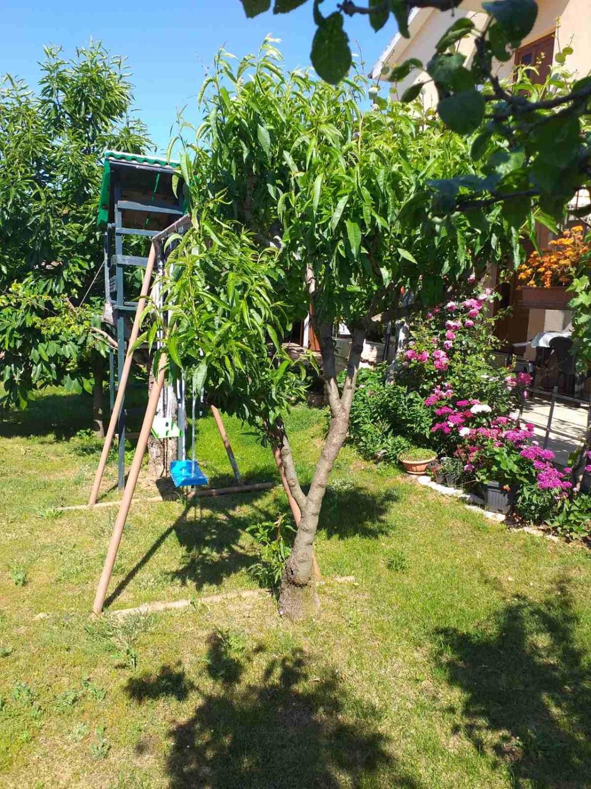 Apartmán Lori Pula Exteriér fotografie